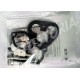 Kit de reparacion carburador WEBER 26IMB500R/126A
