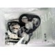 Kit de reparacion carburador WEBER 26IMB<br>500R/126A