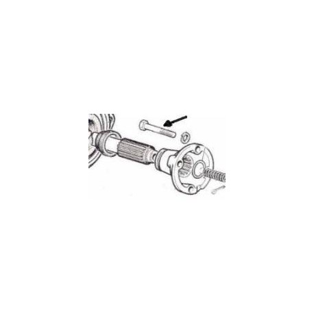 Screw<br>500F/L/R/Giardiniera/126A/126A1/Bis/600D