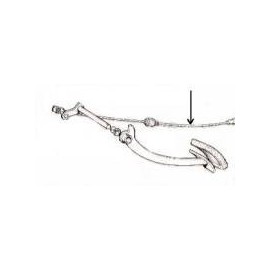 Clutch cable500 R/126A/126A1 (1973 - 1988)