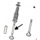 Exhaust valve500R/126A (1973 -- 1977)
