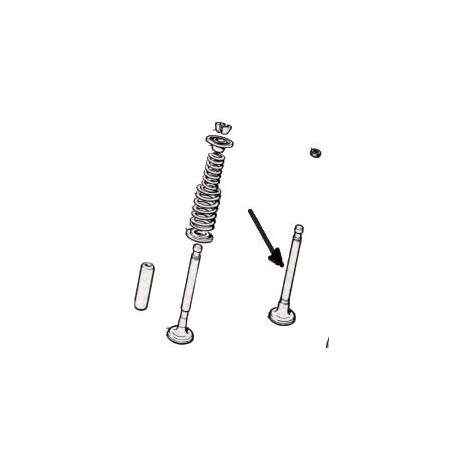 Soupape d'admission<br>126A1 (1977 --> 1988)
