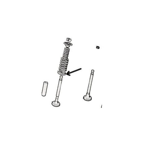 Cuvette du ressort Inferieur<br>500F/L/R/126A/126A1 (1965 --