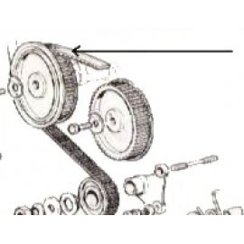 Cinghia distribuzione - 124 Spider (CS2,CS0,DS) 1995cm3 1