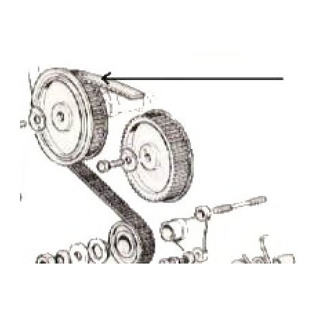 Correa de distribucion - 124 Spider (CS2,CS0,DS) 1995cm3