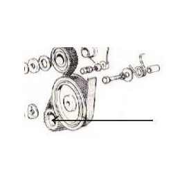 Gear of crankshaft - Fiat 124 Spider 1977--1985 - 128 all