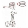 Pistons rings set (Standard)1300