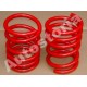 Kit molle corti sospenzione posteriore - Fiat 500 tutte