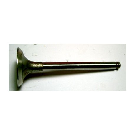 Intake valve - 131/238E