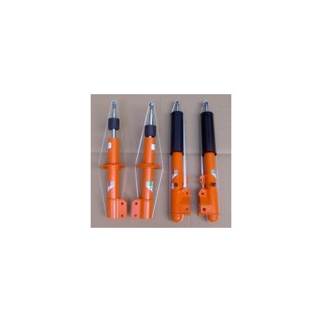 Set of 4 shock absorbers - A112 all