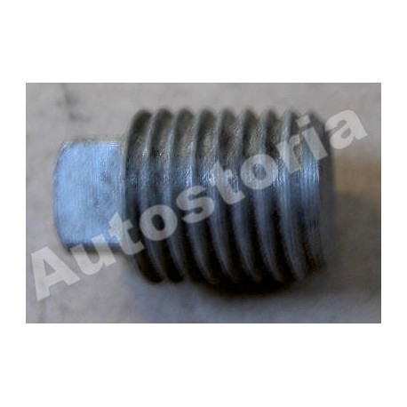 Level oil Screw - 125