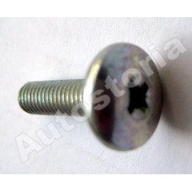 Door screw - Fiat 