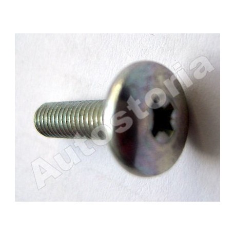 Door screw - 500/126/127/128/131