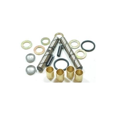 Steering knuckle repair kit - Fiat 500 all