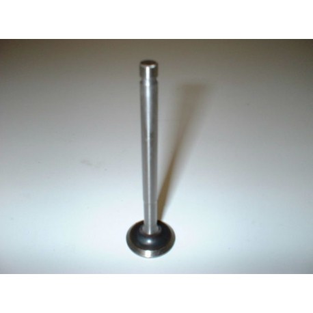 Exhaust valve - 850 100 GB/GBS/GBC