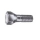 Tornillo del borde - 126A1 (650cm3) 1977 - 1988