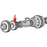 Pinon para 3 - 600 D