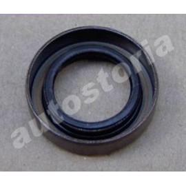 Oil seal Ring - 850